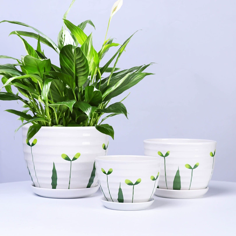 Большой мясистый цветочный горшок керамический зеленый цветочный горшок для орхидеи большого диаметра простой оптовый бытовой балкон креативный горшок с подносом