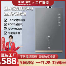 好太太燃气热水器家用天然气液化强排12升恒温16l煤气即热式洗澡