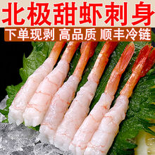 刺身北極甜蝦甜蝦生吃北極甜蝦仁去頭去殼拼盤日料理海鮮廠家批發