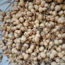 �����ĳ�?�ؔ����С���J