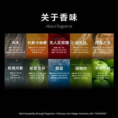 Car Perfume Aromatherapy Home-Use Long-Lasting Fragrance, Odor Removal