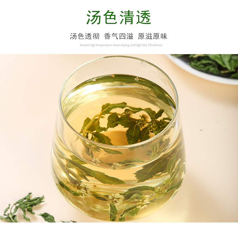 Spearmint Leaf (Mentha spicata) — Anhui Dried Mint Tea for Cold Brew & Daily Infusions in use