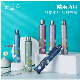 ��Ʒ���Â�307Eѩ���L�����ۺ��z�����⾀�������� ���p�U�P��