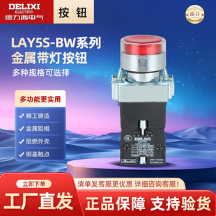 ���������َ������oLAY5S-BW33 BW34 BW35 DC24V AC220V�G�t���S