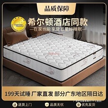 ���|ϣ���D�Ƶ�ϯ��˼���d���|���zҬ���o����������20CM�����o