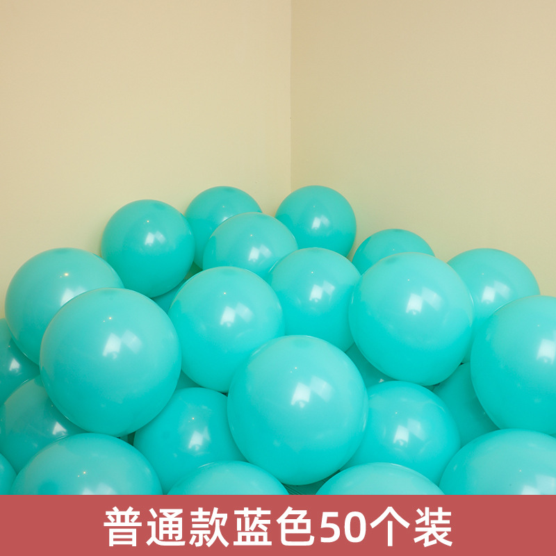 일반 블루 50팩