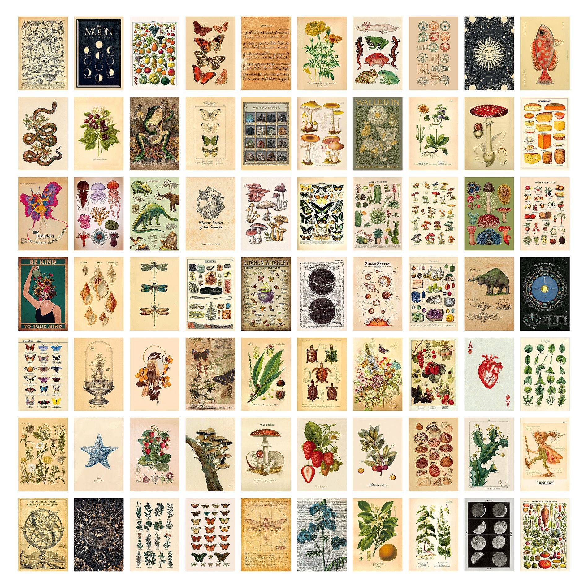 ZM042 (단면 인쇄)