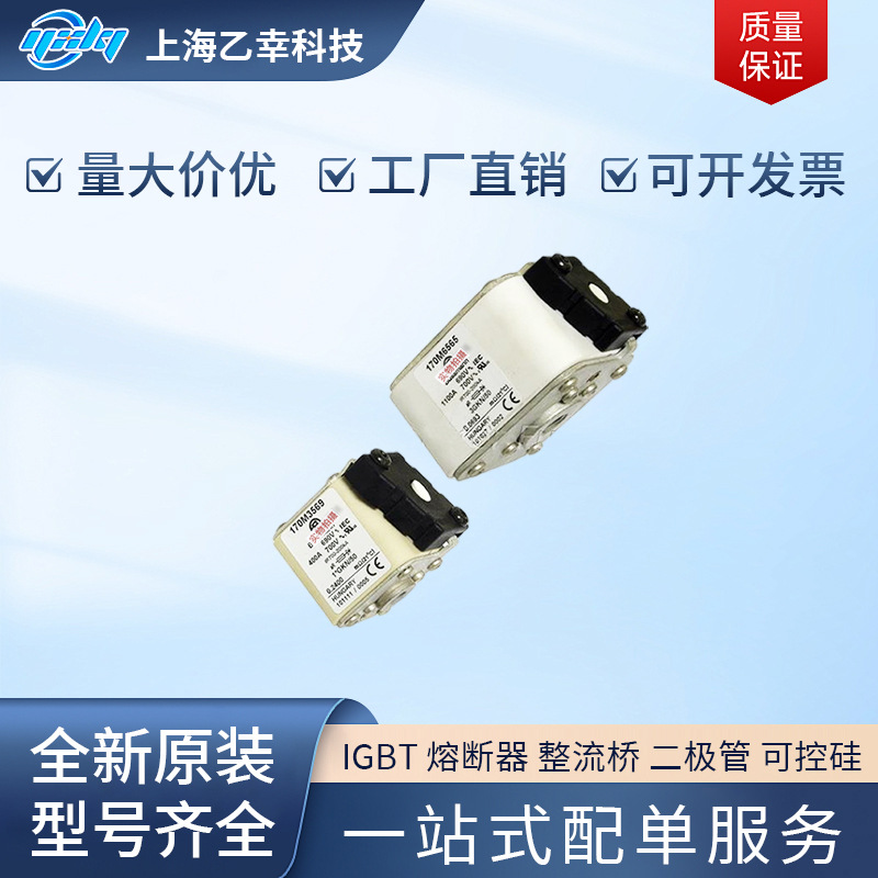 巴斯曼熔断器  170M3927 170M3928 170M3929 170M3930 170M3931