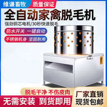 ÓëC늄ӰëëȫԄӰëuZÓë