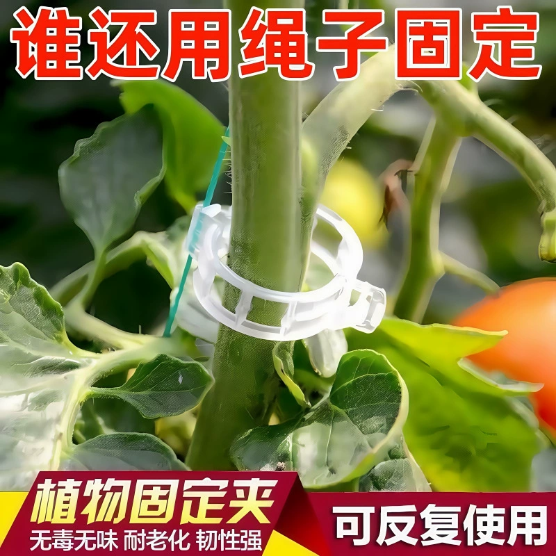 Держатель ветвей из ротанга, подвесной зажим для рассады, пластиковый зажим для виноградной лозы, зажим для веток, подвесной зажим для виноградной лозы, зажим для поддержки виноградной лозы, зажим для крепления виноградной лозы
