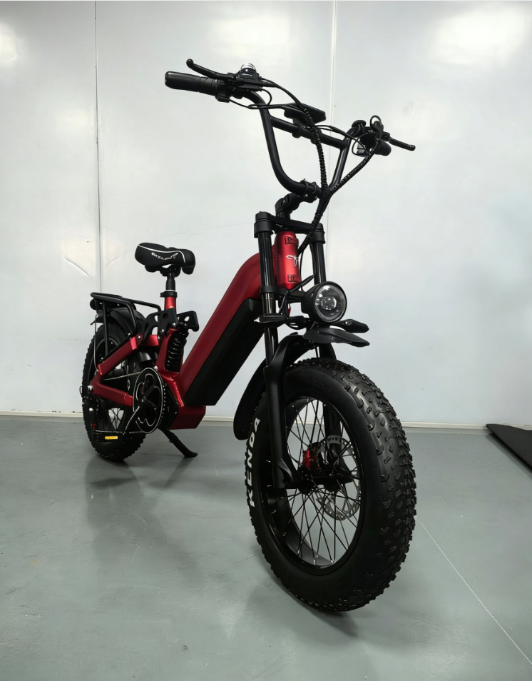 Exclusive cross-border supply of new models 20inch Fat tire 2-wheel electric motorcycle soft-tail mountain electric bicycle