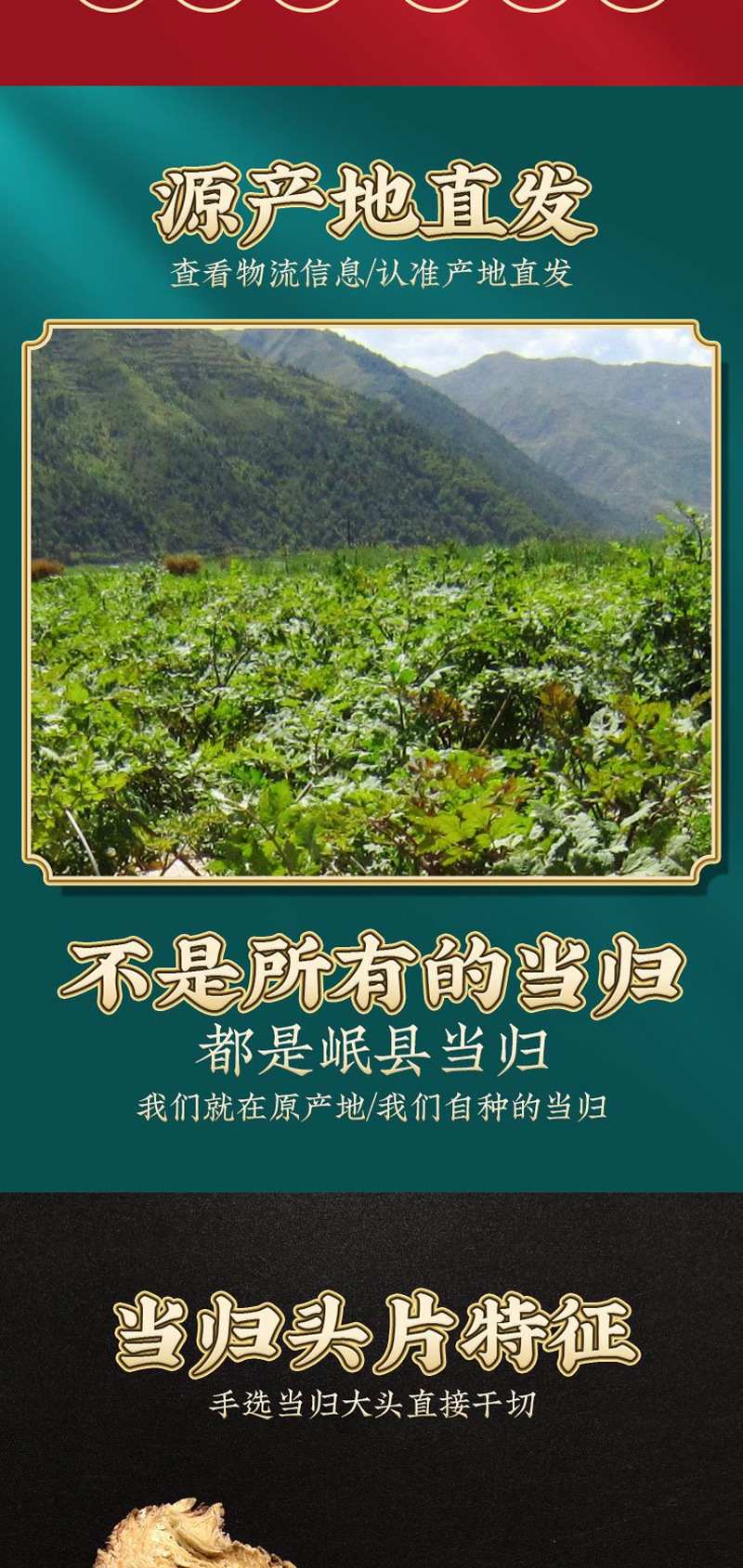 Premium Dang Gui Head Slices 500g Chinese Angelica Root Dried Herb for Decoction and Soup key features