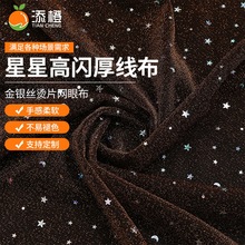 金银丝烫片厚线布140g金丝线布料 舞蹈服表演带星星高闪网眼布