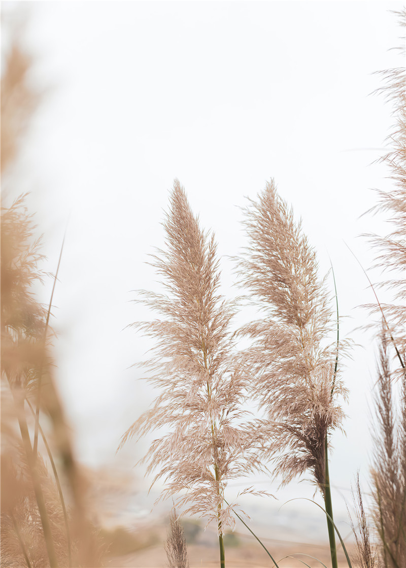 B 페인팅 코어 (프레임 제외)