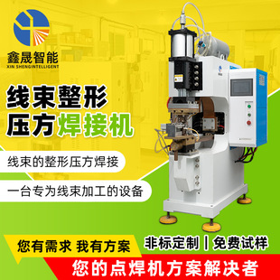 Non-Standard Custom Wiring Harness Shaping and Pressing Welding Machine Wiring Harness Welding Monitor Enameled Wire Butt Welding Machine Manufacturer