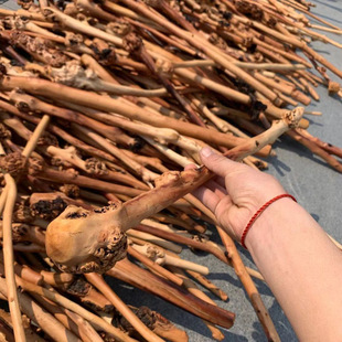 ɽ��ľ�����Nɽ��ľ�������ֹ�����Ϻڹ�ľ������Ħ�N�S�����l