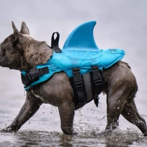 Купальник для собак Маленькая собака, играющая с водяным плавником, спасательный жилет для кошек, Приморская плавучесть, спортивные товары на открытом воздухе