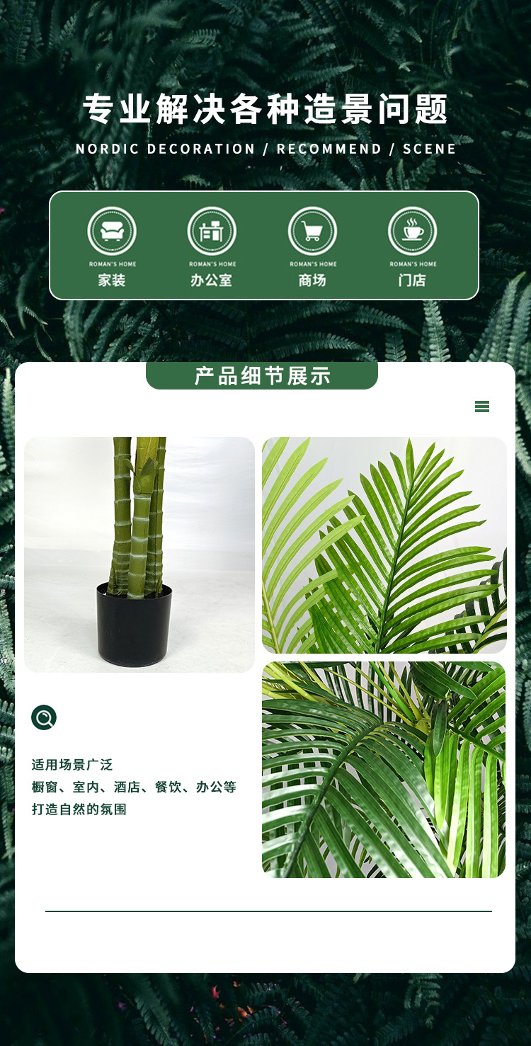 棕榈树详情1_04.jpg