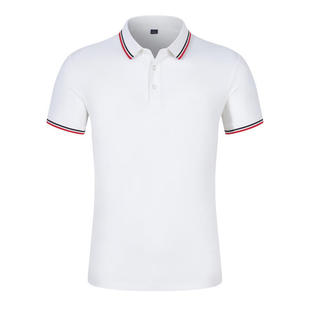 �ļ�������POLO�����I����̽�logo ��ˬ���pɫ�I�F꠷�����