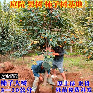 �ش�������Ә����ͥԺ�������Ե��Ի�̫���ϱ����Nֲ�������