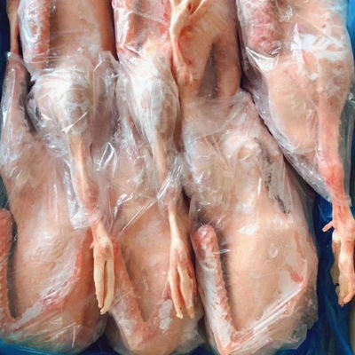 Goose wholesale fresh Freezing White strip Full container Gross weight 39 Hotel Stewed vegetables Ingredients