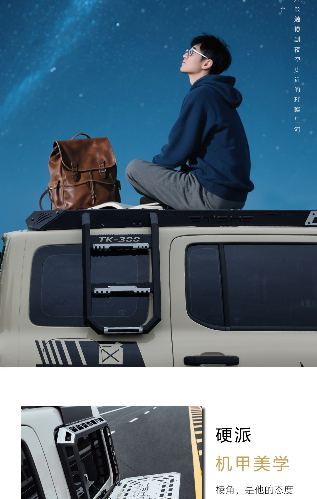 Roof Rack Modified Expansion Platform Side Ladder Side Armor for Tank 300 Black Panther Series