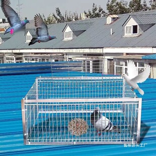 ��������\���ӻ\ײ�T��j�T���\�F�\ֻ�M�������\����Ԅ��T