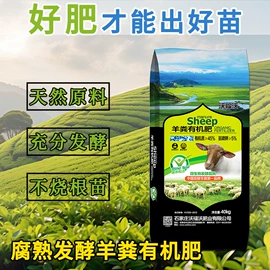 有机肥;栽培基质;钾肥