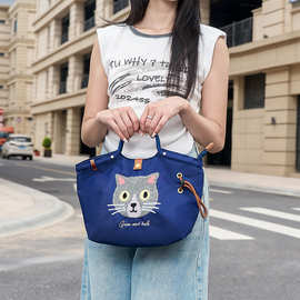 2025ins日系新款可爱手提拎挽小包袋上课班通勤外出便携当便当包