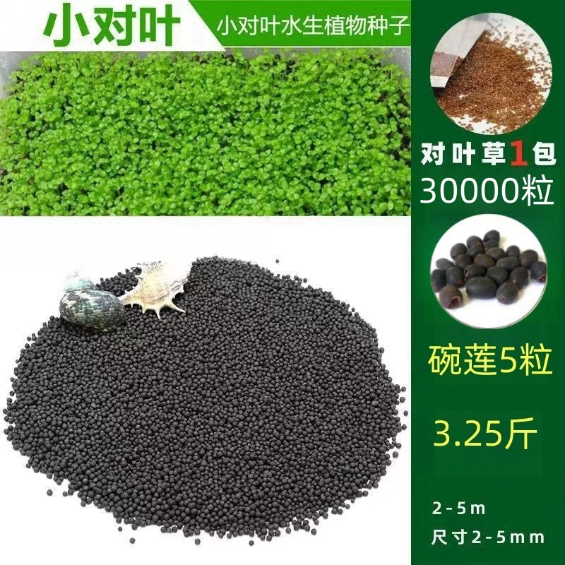 [핫세일] 워터그래스머드 1.625kg - 작은잎 30,000개 + 그릇연꽃 5개 무료