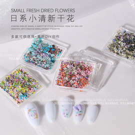 美甲干花指甲饰品日式ins风莫奈花园油画花瓣小花碎花混合diy材料