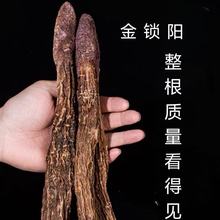 iꖴlɹŰƴĮiݾݲaĮxi