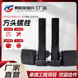 方头螺栓4.8级8.8级10.9级四方头高强度氧化发黑碳钢螺丝全螺纹