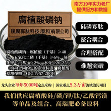 �Ϸ������ϏS ��ֲ�����c ���Ȼ���/��/�����}�V �߶˷ʱ؂�ԭ��