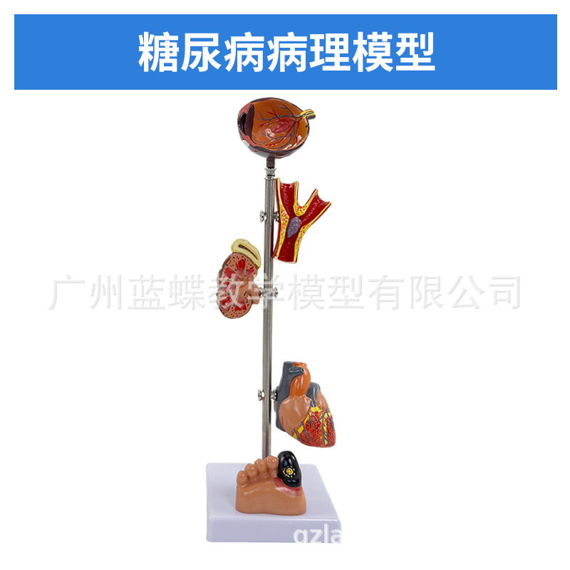 ҽѧ����ģ������ģ������ģ����ģ������������bingģ��