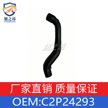 ������ �ݱ�F-TYPE �ݱ�XFL ɢ������������ C2P24293