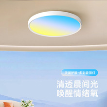 Sky�작��ȫ���Vɫ��ӑB�o�ە������ɫ�쾳�����������픟���