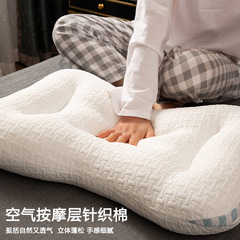 A5LSPA枕頭枕芯護頸椎助睡眠家用一對頸椎專用男士睡覺整頭不塌陷