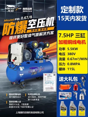 Fengbao Explosion-Proof Air Compressor 380V Hava kompressorları - all-copper-0678-three-phase-explosion-proof-motor-lead-time-1-2-weeks