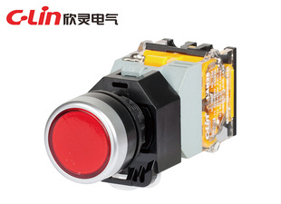 Xinling LAN38-22D-11D with Light Flat Button Button Switch