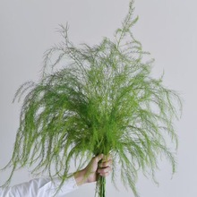 �J�����J�S����ϻ���ֱ�l�Y���b�����仨С�����¼�ͥ�廨ˮ�B