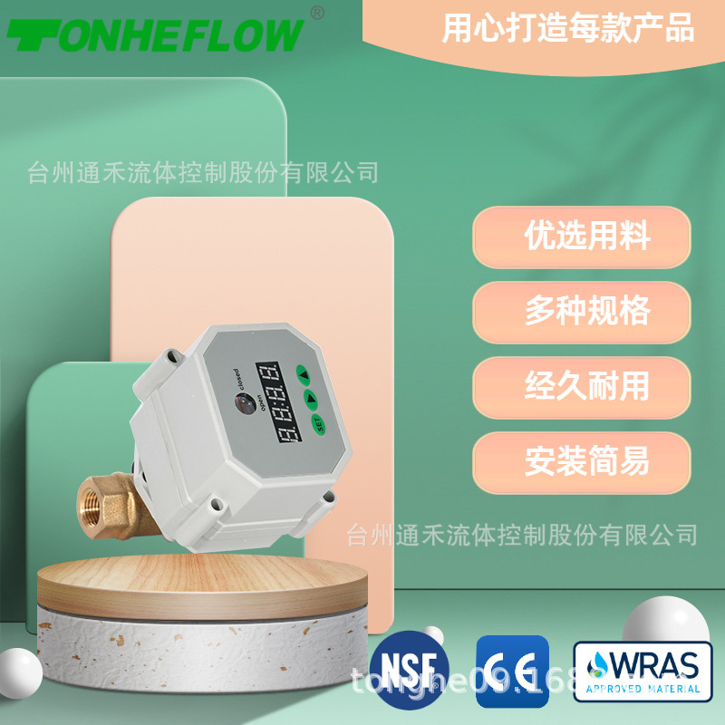 2分黄铜供应净水器定时自动排污电动球阀循环排水防阻定时阀DN8