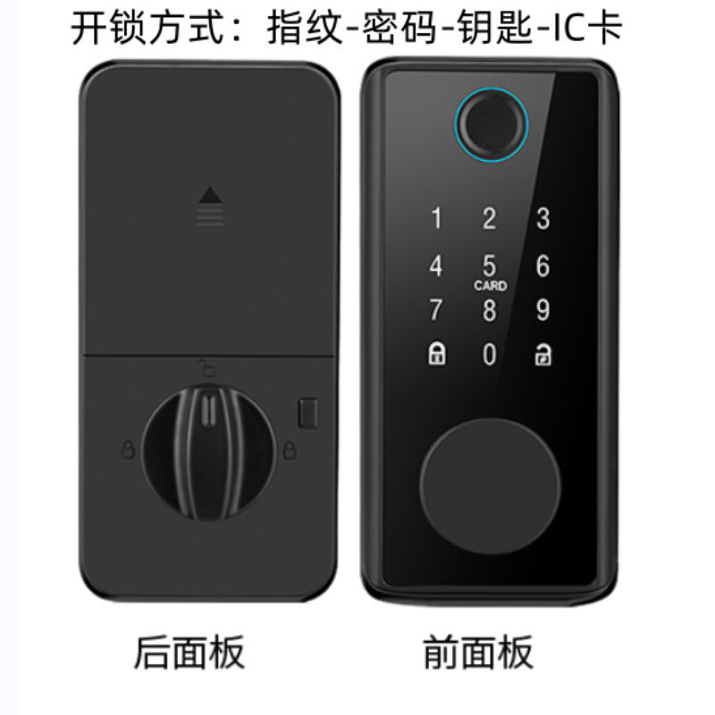 DS01-BLACK-FINGERPRINT-PASSWORD-IC CARD-KEY