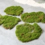 铺设植物布置仿真草皮