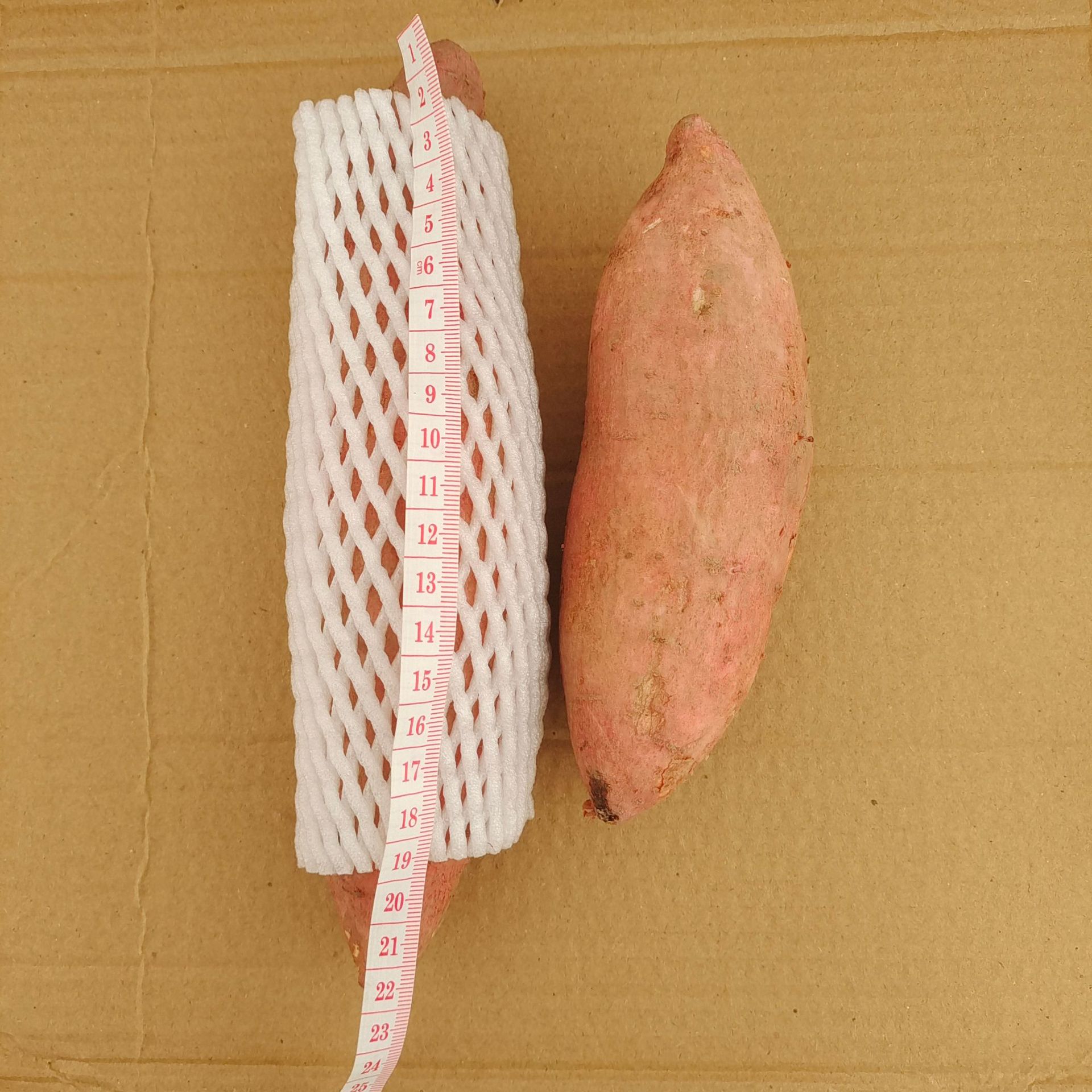 微信图片_20241101103540