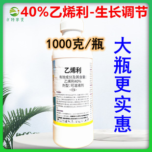 �r���ԉ� 40%��ϩ����ϣ����ϡ��ֲ�����L�{���� �޻����}���섩