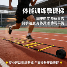 �K������������Ӗ�����Ĳ���ܛ�݃�ͯ�@���w��Ӗ���ٶ������ݹ��S