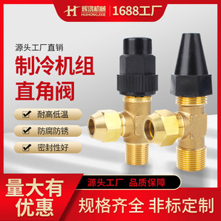 ������{�C�Mֱ���y�քӶ�ͨʽ�߉��͜ؽ�ֹ�y�ط����ܷ���ͨ�y�T