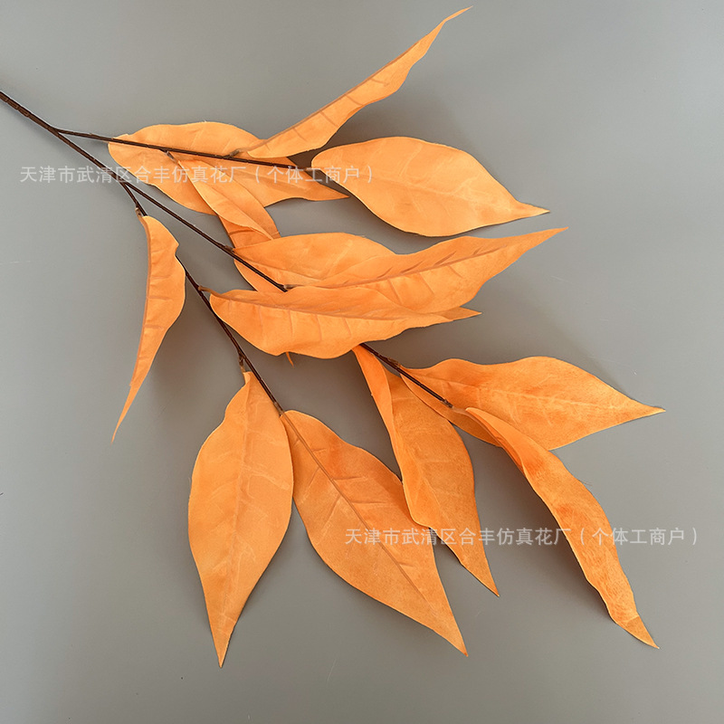 주황색