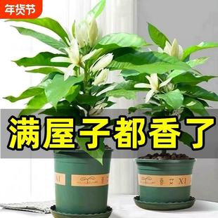 ������m�����m���������Ԏ������҃�����B�Gֲ���S���m�ļ��_��